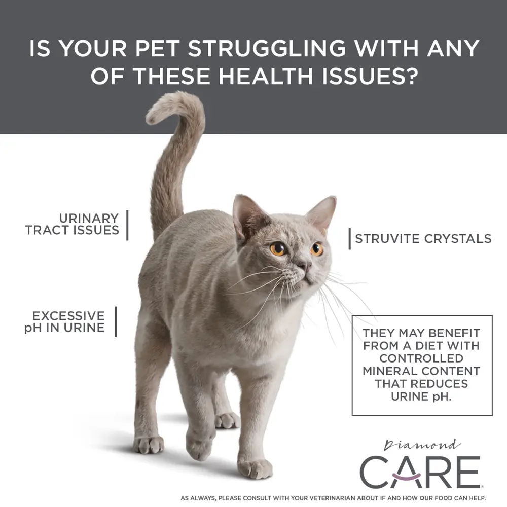CARE-Urinary-Issues-1.webp