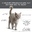 CARE-Urinary-Issues-1.webp