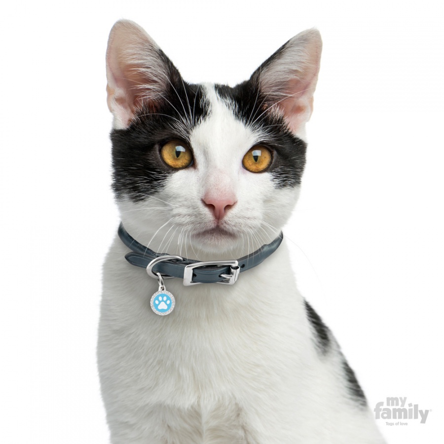 Glam - Blue Circle with Paw