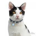 Glam - Blue Circle with Paw