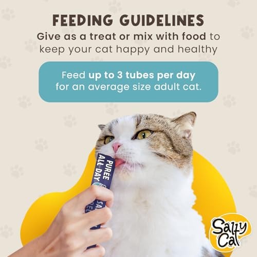 Salty Cat Puree Everyday Treat - Salmon - 4 pack