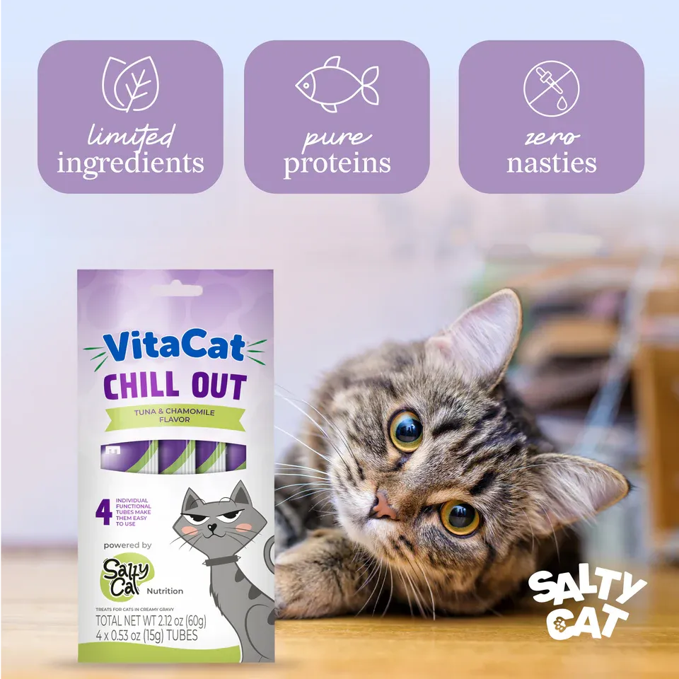 2682153_VCSC003VitaCatbySaltyChillOut_4ctIMAGES_3_121825.webp