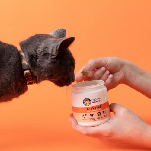 L-Lysine Powder for Cats - 2.54 oz