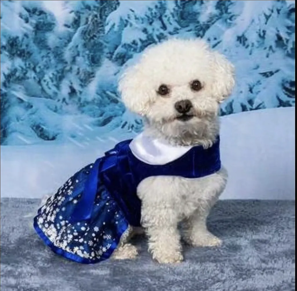 WhatsApp Image 2026-03-20 at 4.08.57 PM (4).webp