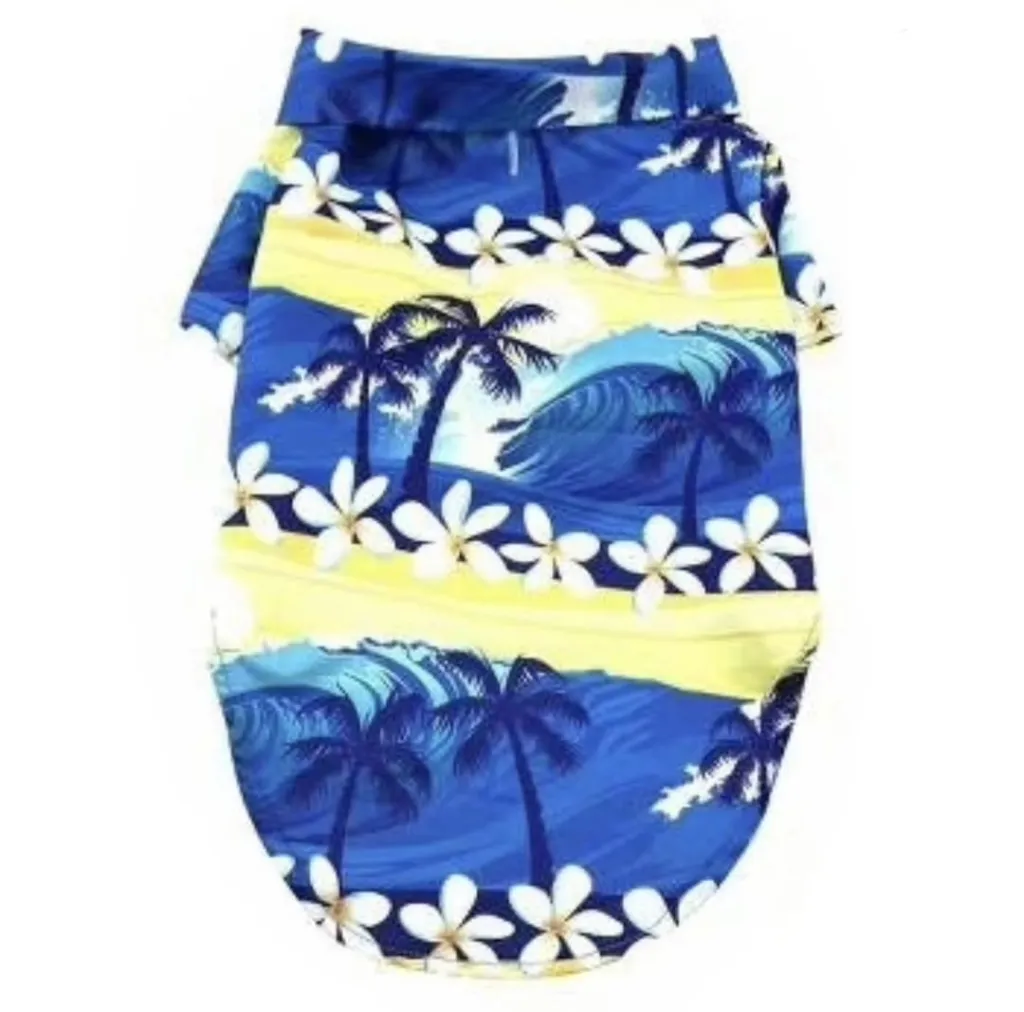 WhatsApp Image 2026-03-20 at 4.08.57 PM (3).webp