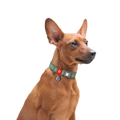 recycled cotton green L collar model.webp