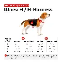 size chart.webp