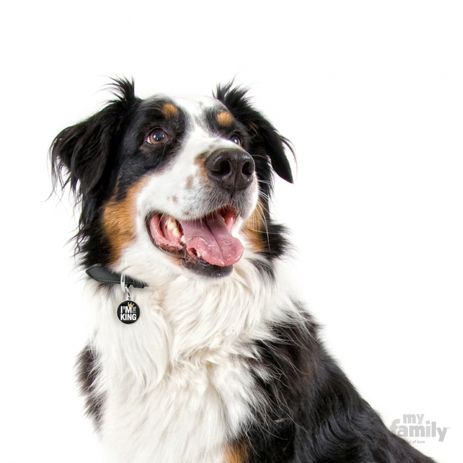 Charms - Big Circle I'm The King