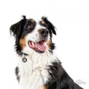 Charms - Big Circle I'm The King