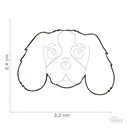 Friends - Black & Tan Cavalier King