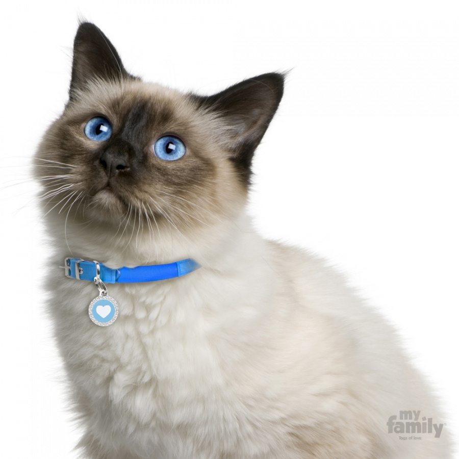 Glam - Light Blue Circle with Heart