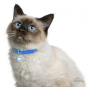 Glam - Light Blue Circle with Heart