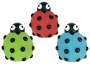 Look Who's Poppin - Ladybug