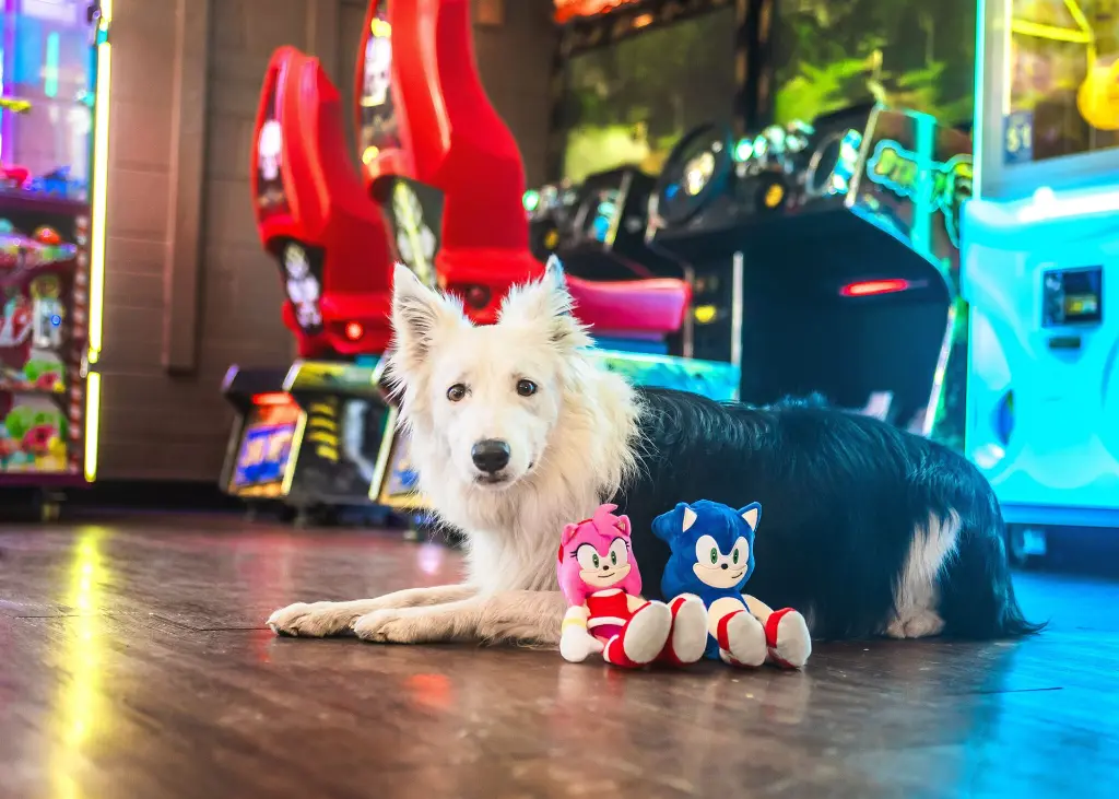 Sonic_Website-2048x1463.webp