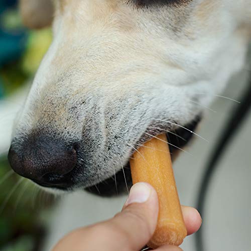 YakyChurro 10" Bacon