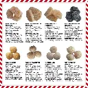 AdventCalendar_Graphic5_860x.webp