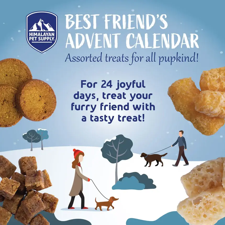 AdventCalendar_Graphic_860x.webp