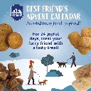 AdventCalendar_Graphic_860x.webp