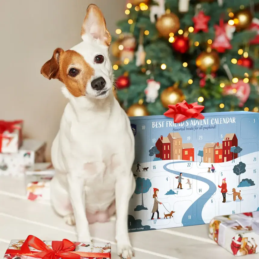 AdventCalendar_Graphic77_860x.webp