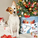 AdventCalendar_Graphic77_860x.webp