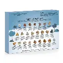 Advent_Calendar_Back_860x.webp