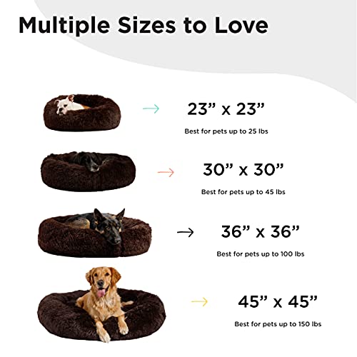Donut Shag Chocolate 30"