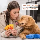DBF_Game_PDP_Image_4.webp
