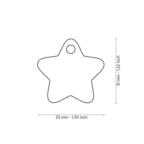 charms-big-yellow-star-id-tag(1).webp