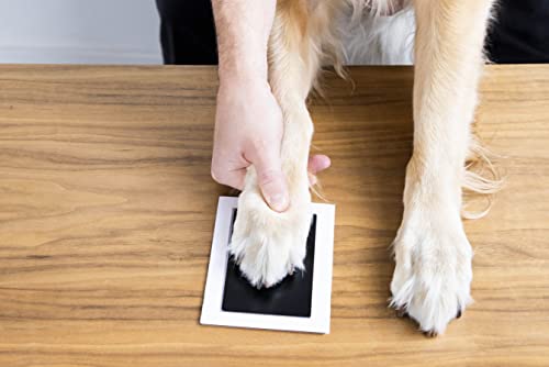 Clean-Touch Ink Pad - 4 pack