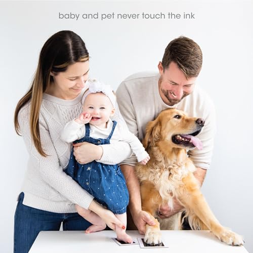 Clean-Touch Ink Pad - 4 pack