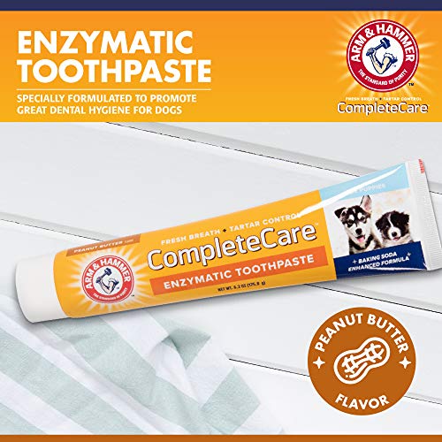 Arm & Hammer Enzymatic Dog Toothpaste 6.2 Oz - Peanut Butter Flavour