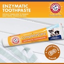 Arm & Hammer Enzymatic Dog Toothpaste 6.2 Oz - Peanut Butter Flavour