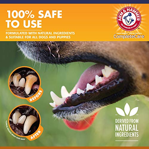 Arm & Hammer Enzymatic Dog Toothpaste 6.2 Oz - Peanut Butter Flavour
