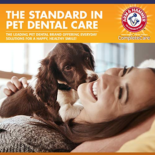 Arm & Hammer Enzymatic Dog Toothpaste 6.2 Oz - Peanut Butter Flavour