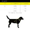 BG-CPC-Harness-SizingChart-2025_1000x.webp