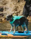 Pet_PFD_blue_2_1000x.webp