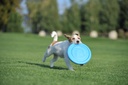 Lightweight and Flexible Flying Disk for Dogs
