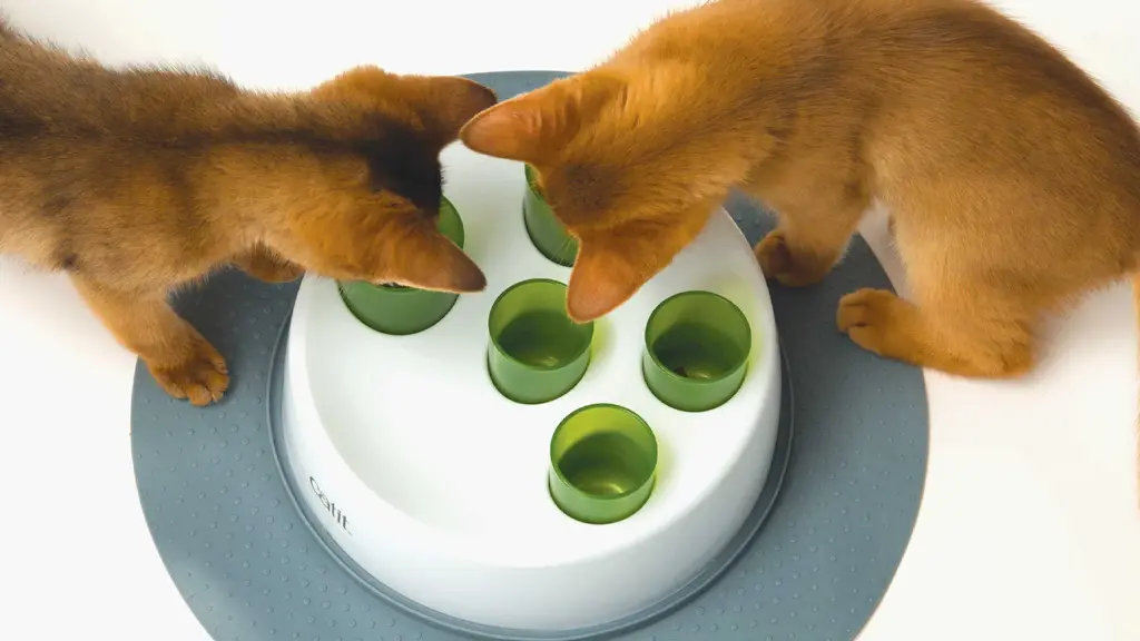 1.-Interactive-slow-feeder-that-promotes-more-active-mealtimes.jpg.webp