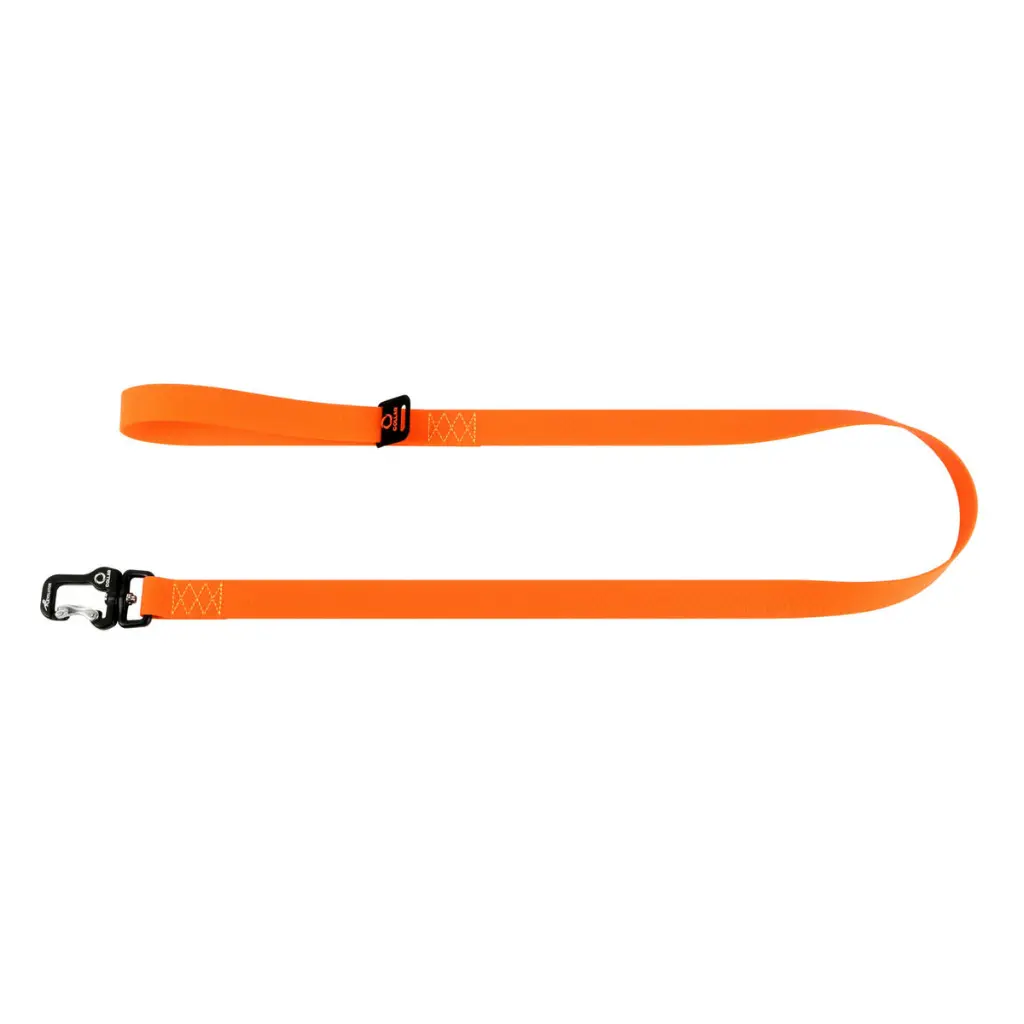 5c91612b02-1_resize_1200x1200.webp