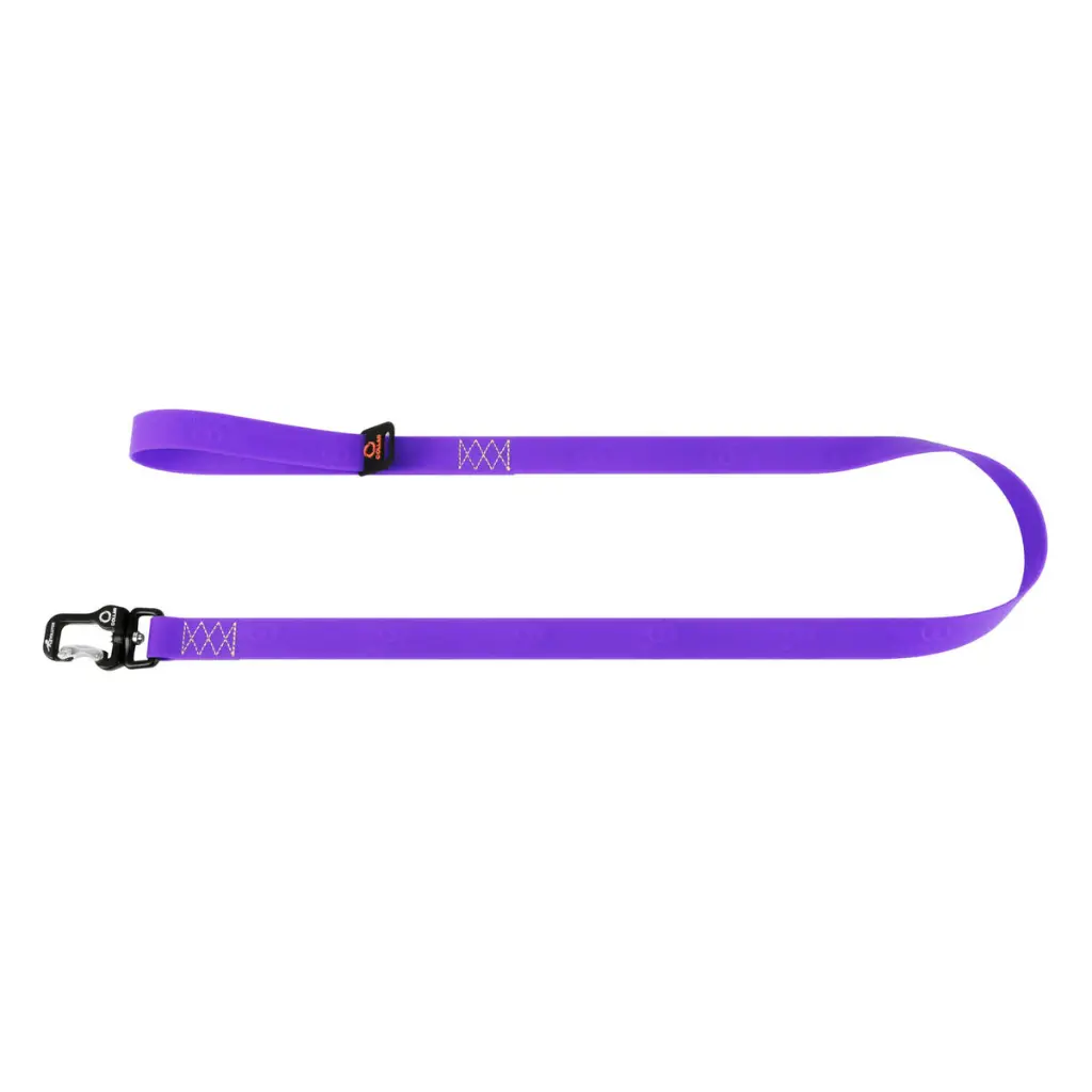 cd951a267c-1_resize_1200x1200.webp