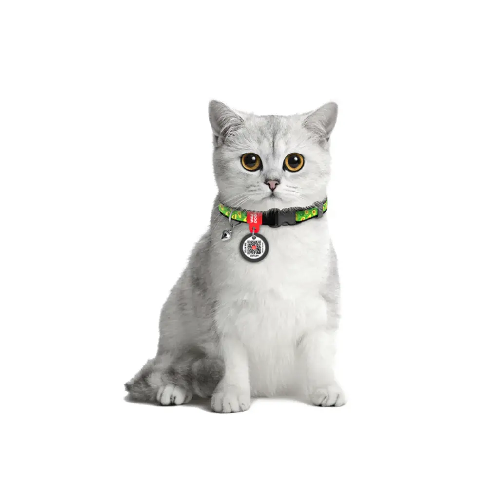 b56ab6ef98-1_resize_1200x1200.webp