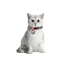 b6006de3f3-1_resize_1200x1200.webp