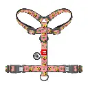 db9fff4081-1_resize_1200x1200.webp