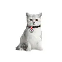432a98f53f-1_resize_1200x1200.webp