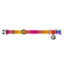15a6cef512-1_resize_1200x1200.webp