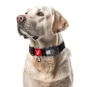 d84c97bd5a-1_resize_1200x1200.webp