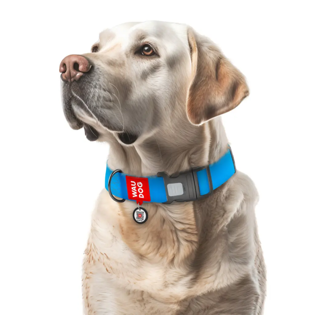 62f0309f5f-1_resize_1200x1200.webp