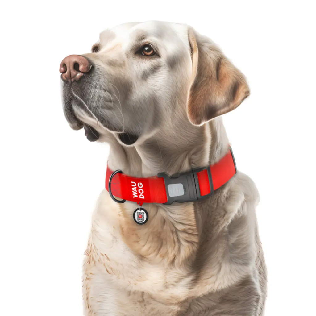 a7a15d1ac1-1_resize_1200x1200.webp