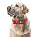 a7a15d1ac1-1_resize_1200x1200.webp