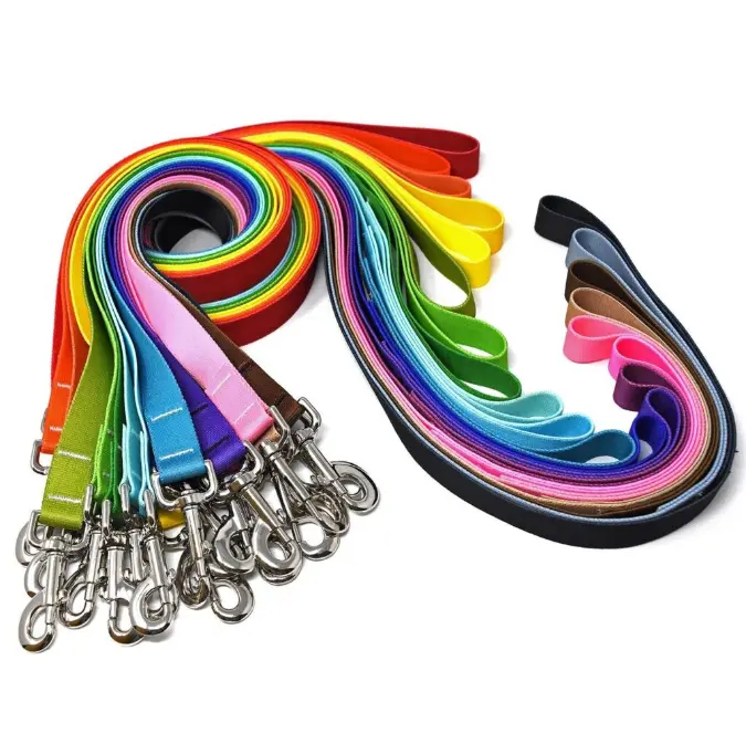 Simple Solids Dog Leash